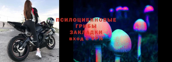 PSILOCYBIN Инсар