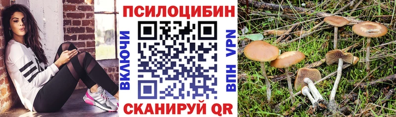 Псилоцибиновые грибы Cubensis  Моздок 